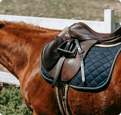 Selle per equitazione